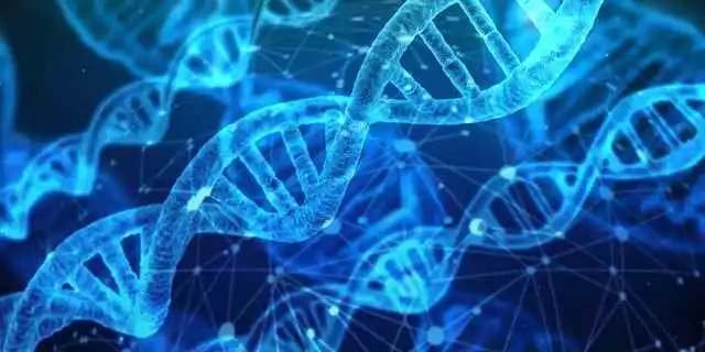Best 6 Biology Textbooks of 2022 in Uganda