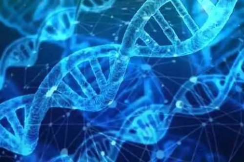 Best 6 Biology Textbooks of 2022 in Uganda