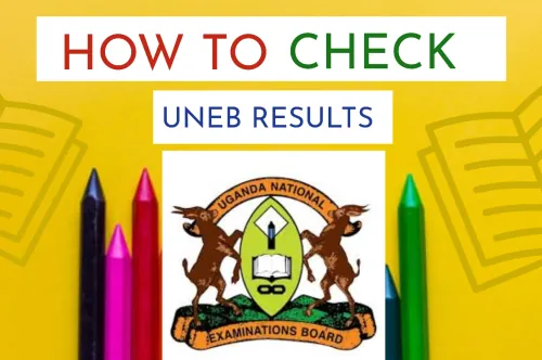 How to Check Your UNEB Results: A Step-by-Step Guide