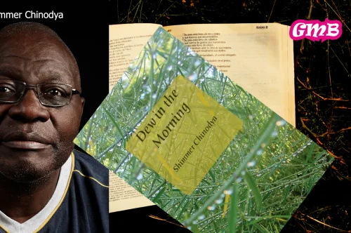 Dew in the Morning by Shimmer Chinodya: A Haunting Journey Through Rural Zimbabwe
