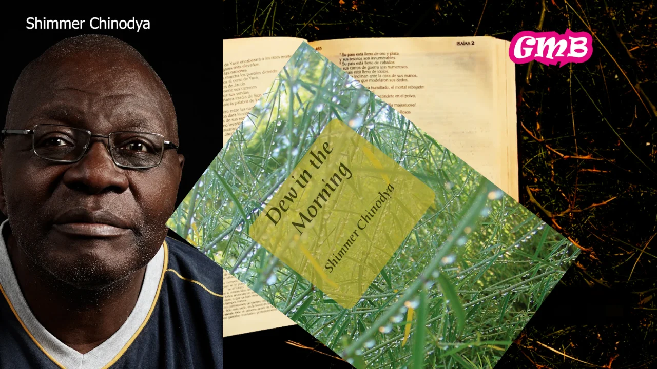 Dew in the Morning by Shimmer Chinodya: A Haunting Journey Through Rural Zimbabwe
