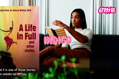 The Pressure of Parenthood: A Review of Indigo by Molara Wood