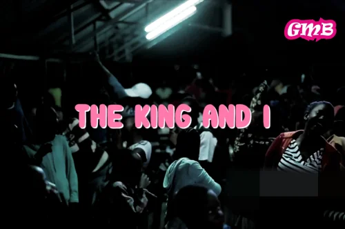 When Idealism Meets Reality: A Review of The King and I by Novuyo Rosa Tshuma