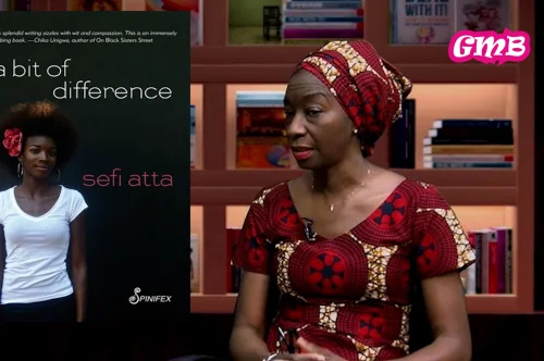 A Bit of Difference by Sefi Atta: A Fresh, Funny, and Fierce Look at Modern Nigerian Life
