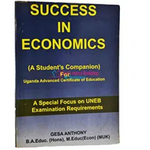 Success In Economics