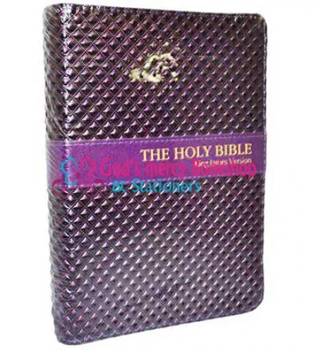 Holy Bible (Kjv)
