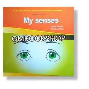 My senses