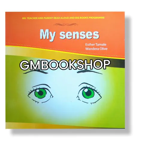 My senses