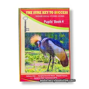 The Sure Key To Succes Social Studies Book 4