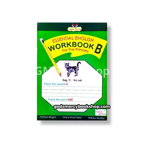 Essential English workbook B