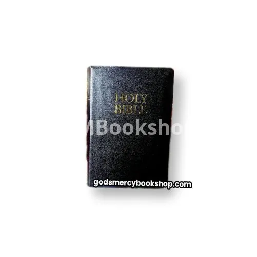 Large print compact bible (KJV)